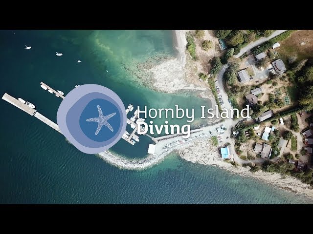 Hornby Island Diving, British Columbia, Canada - scuba diving lodge