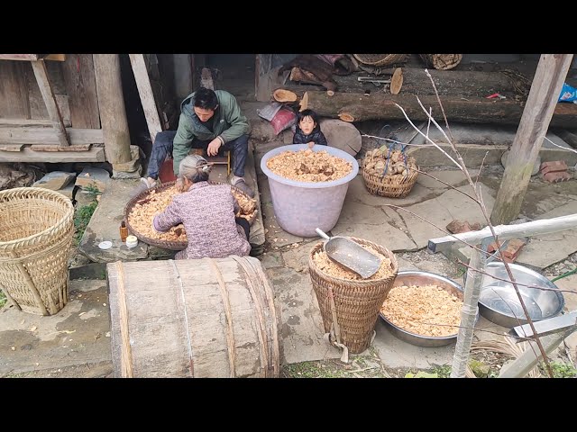 Primitive Rural Life in China, Dig Sweet Potatoes to Make Sweet Potato Starch.