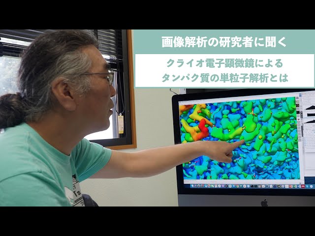 画像解析の研究者に聞く　クライオ電子顕微鏡によるタンパク質の単粒子解析とは