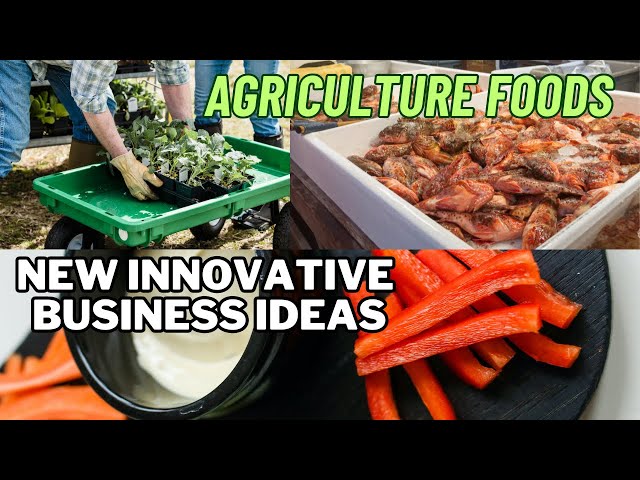 START FROM YOUR HOME //  SAMLL INVESTMENT IDEAS // AGRICULTURAL FOODS // STRUGGEL01