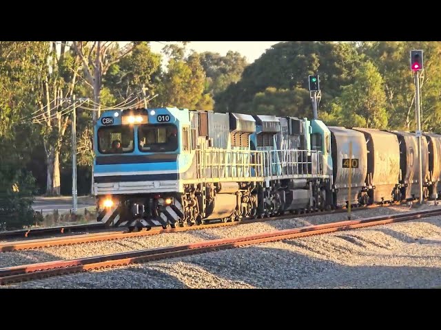 CBH Grain Train #railway #trainspotting #railfanning #trainspotter #indianrailways #railfans #rail