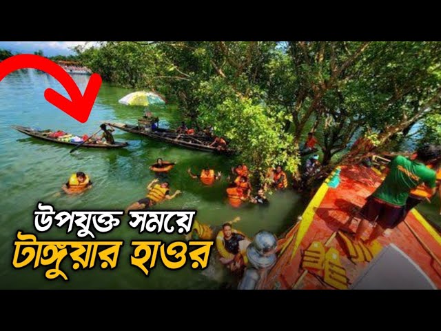 টাঙ্গুয়ার হাওর ভ্রমণ গাইড | Tanguar Haor budget trip | ভ্রমণ খরচ ও বিস্তারিত