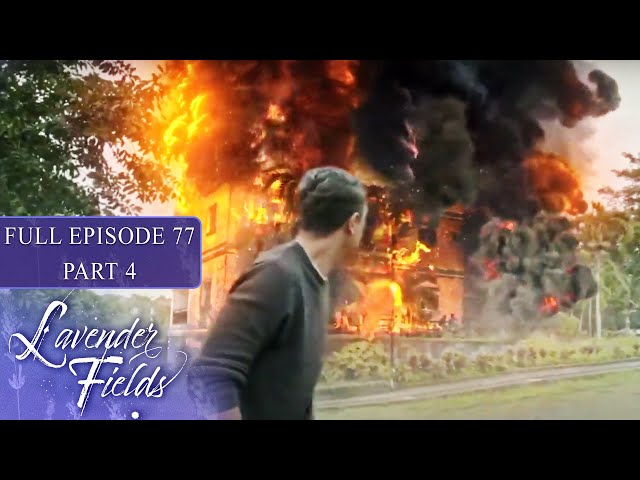 Episode 77 | Part 4 of 4 | Lavender Fields | Jodi Sta. Maria, Jericho Rosales