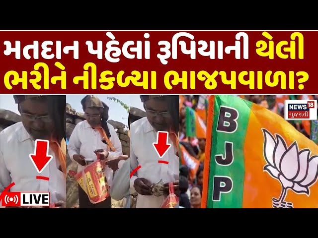 Gujarat BJP Shocking Viral Video LIVE | મતદાન પહેલાં રૂપિયાની થેલી ભરીને નીકળ્યા ભાજપવાળા? | N18L