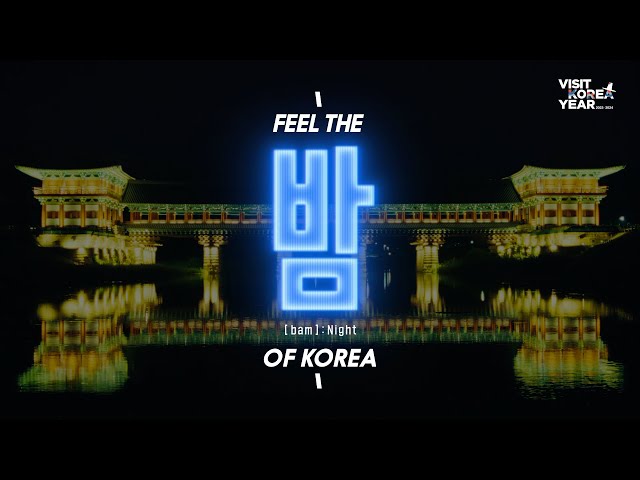 Feel the Night(bam) of KOREA #VisitKoreaYear