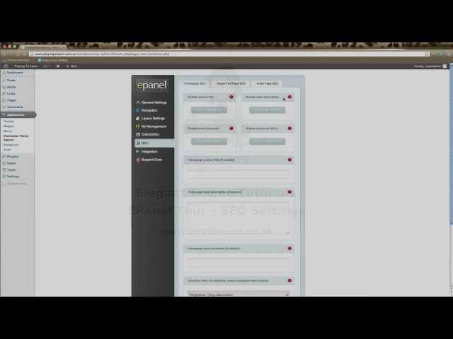 Elegant Themes - EPanel SEO Settings