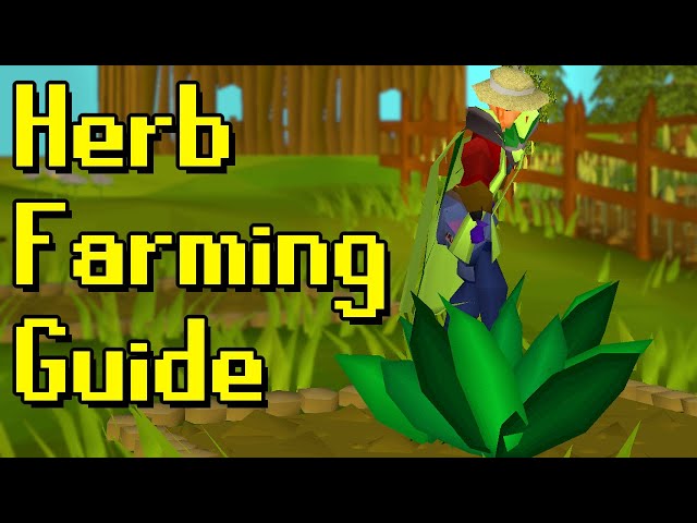 Everything you need to know to do herb runs