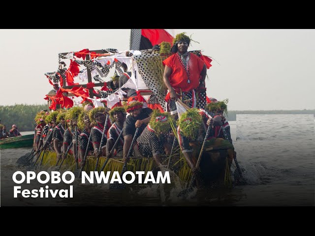 Discover the Secret to Opobo Festival's Irresistible Charm! #africa #boat #festival