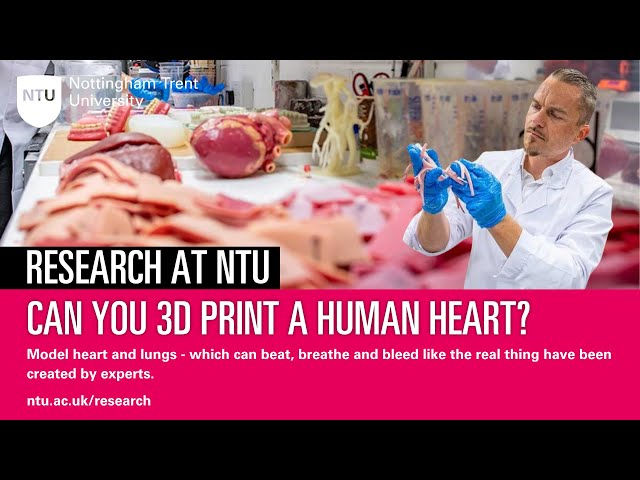 Can you 3D print a human heart? Experts at NTU create model heart and lungs that beat and breathe