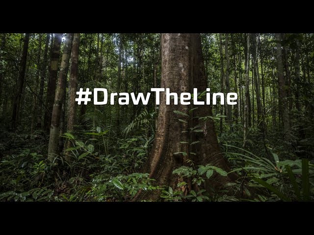 Draw The Line - VR [ENGLISH]