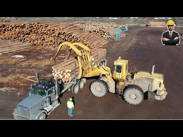 How Logs to Lumber - An Aerial Journey Through the Sawmill