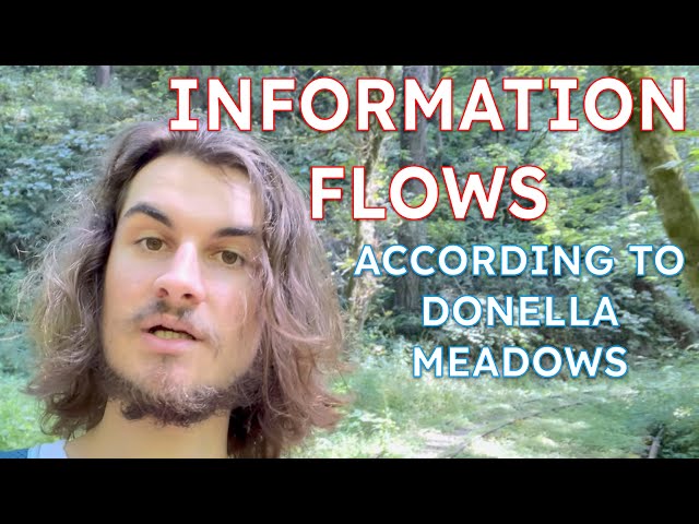 Leverage Point 6: Information Flows || Systems Theory