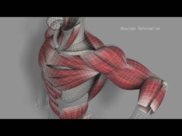 Riging Showreel - Muscle Simulation