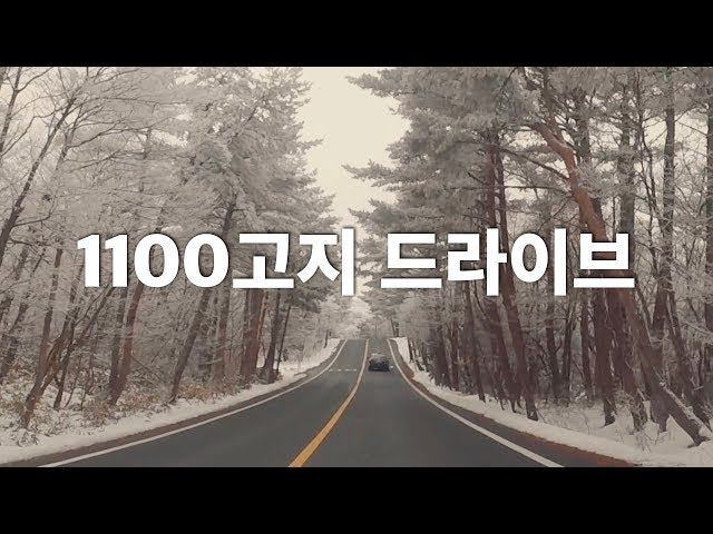 🌴 Drive winter jeju island, south korea, 1100 mountain