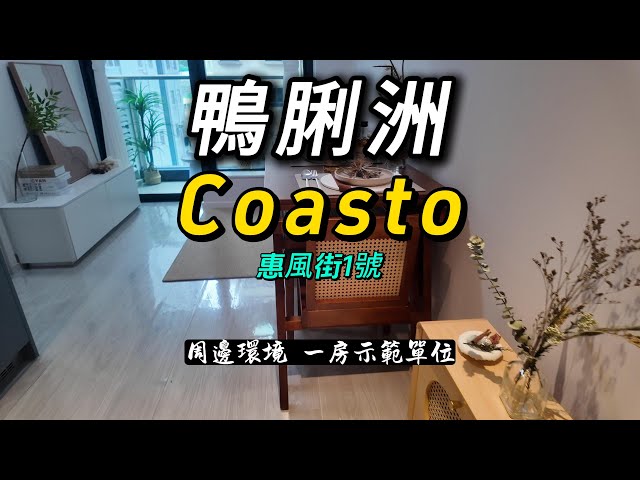 港島南鴨脷洲Coasto 周邊環境 一房現樓示範單位