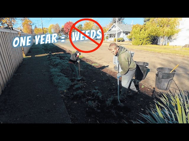 We gave this FAMILY the gift of NO WEEDS for an ENTIRE YEAR