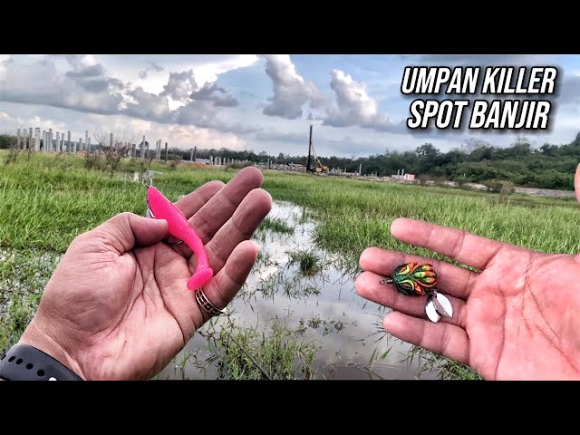 CASTING HARUAN GUNA SOFT FROG DAN SOFTPLASTIC PADDLE POP DI MUSIM BANJIR