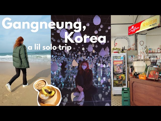 A Solo Trip to Gangneung, Korea VLOG 💙 강릉 당일치기