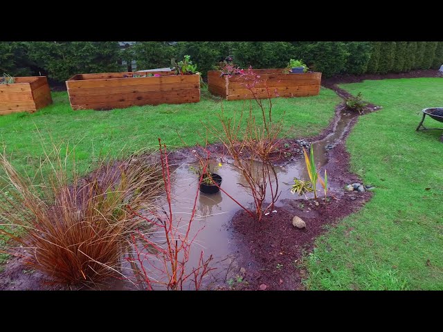 Rain Gardens and Residential Water Runoff, flood Management by VAP #rain #gardens #water catchments