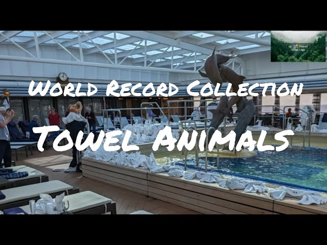 Breaking News: World Record for Towel Animal Collection Achieved