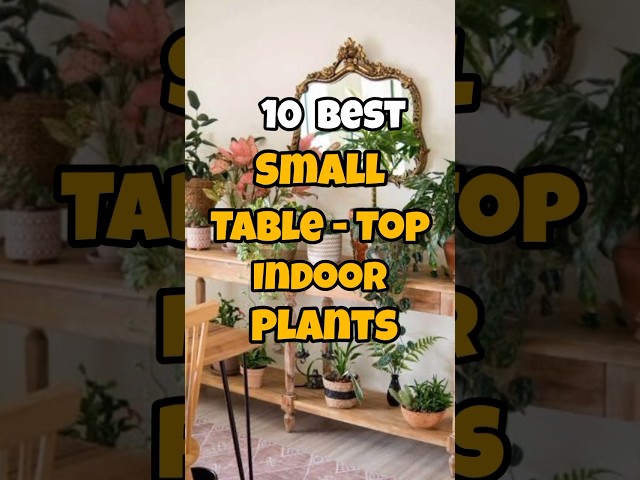 Best Table - Top indoor plants#garden #gardening #trending #youtubeshorts #shorts