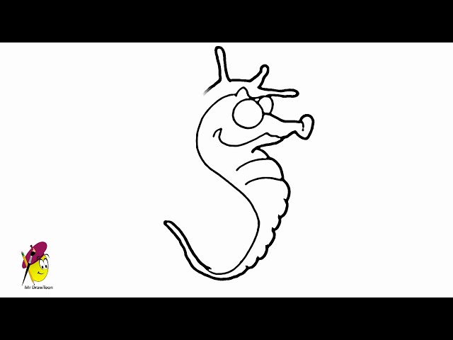 Draw seahorse