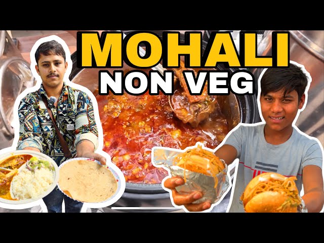 Mohali Street Food | Best Street Food in Mohali | Famous Street Food in Mohali | Street Food India