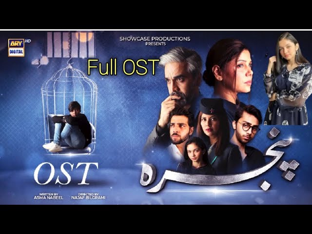 Pinjra | OST (LYRICS) | Aina Asif, Hadiqa Kiani | Pinra New Drama OST Song | New Drama @ARY Digital