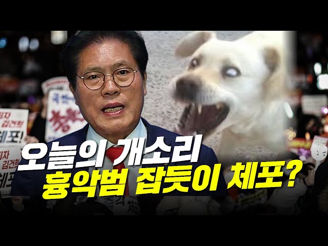 [오늘의 개소리] 흉악범 잡듯이 윤석열 잡아야겠냐? 네!!!