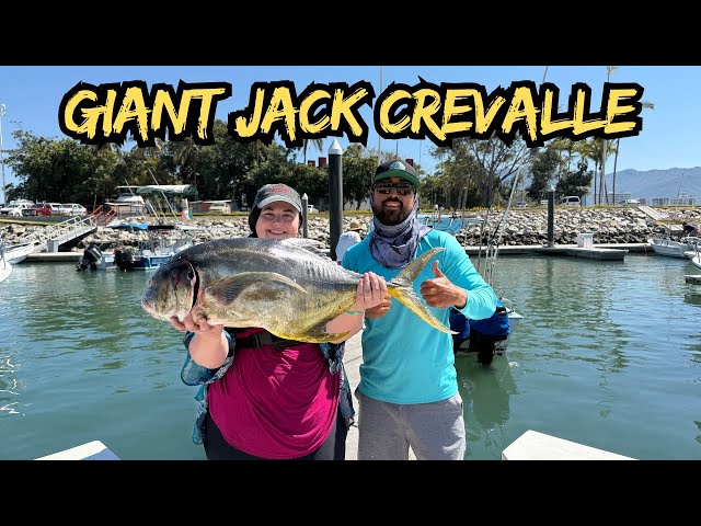 Ocean Fishing in Mexico for Giant Jack Crevalle! | Fresh Spanish Mackerel Ceviche! | Puerto Vallarta