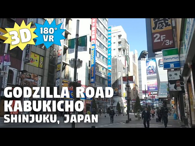 [3D VR] Kabukicho - Godzilla Road - Morning