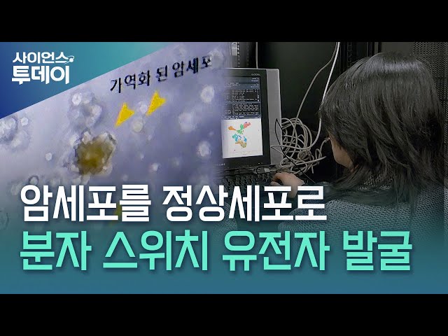 암세포를 정상세포로 되돌려...분자 스위치 발굴 컴퓨터 모델 / YTN 사이언스