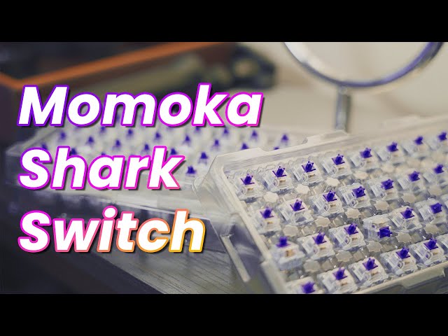 Momoka Shark Tactile Switch Review - A bump above the rest