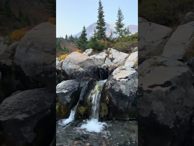 The view of Mount Rainier from Myrtle Falls Part#1 #mountrainiernationalpark #washingtonstate