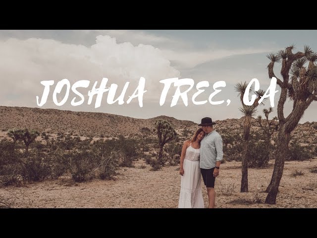 CINEMATIC photoshoot in JOSHUA TREE - Vlog # 54 (filmed with Fuji X-H1, Canon M50, DJI Mavic Pro)