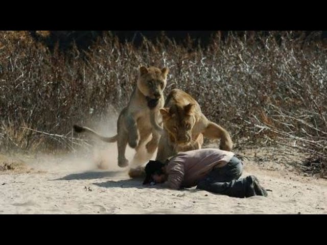 Carzy Man Enter the Lions Cage in Hyderabad Zoo