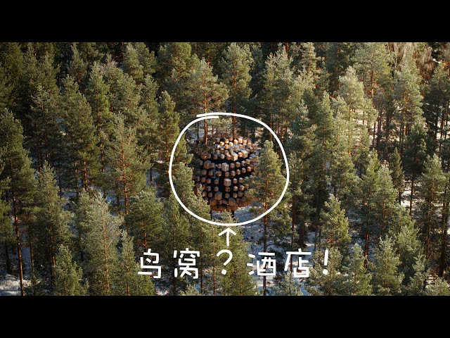 We Actually Moved into a Bird's Nest! Must-Try Experience: Tree Hotel in Sweden | 4KHDR