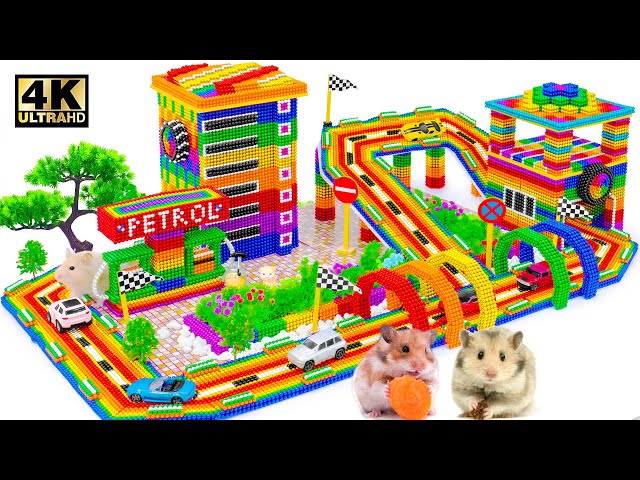 How To Make The MOST Dangerous Race Track From Magnetic Balls For Cute Hamster