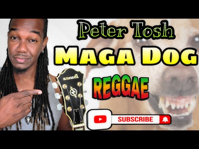 Peter Tosh - Maga Dog lesson + Tutorial