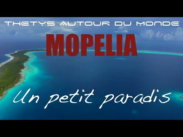 MOPELIA youtube