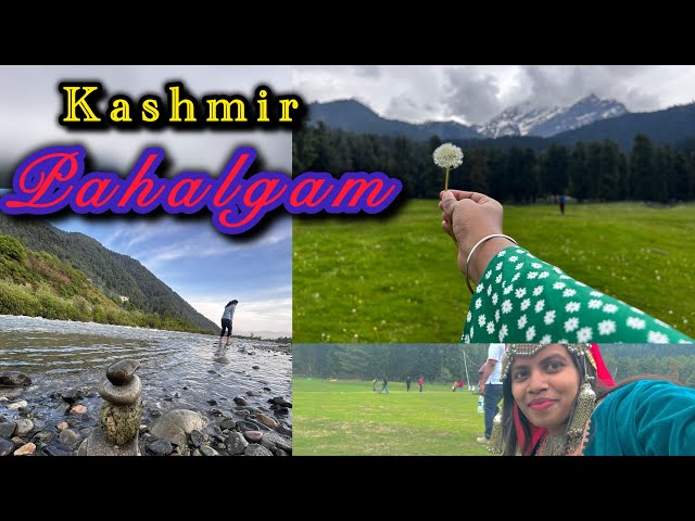 A Visit to Pahalgam⛰️ ||Jammu &Kashmir Tour||Travel Vlog||@DailyVlog||🍂