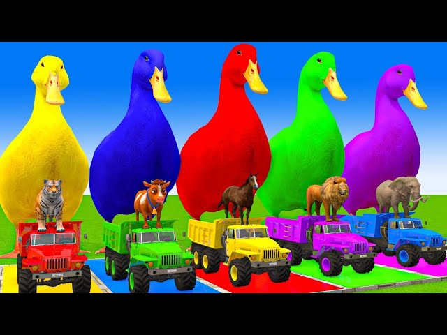 Paint Animals Duck,Tiger,Cow,dog,Buffalo,Gorilla,Elephant,Dinosaur part 235