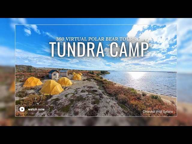 Churchill Wild's Caribou Tundra Camp 4K | 360 Virtual Tour