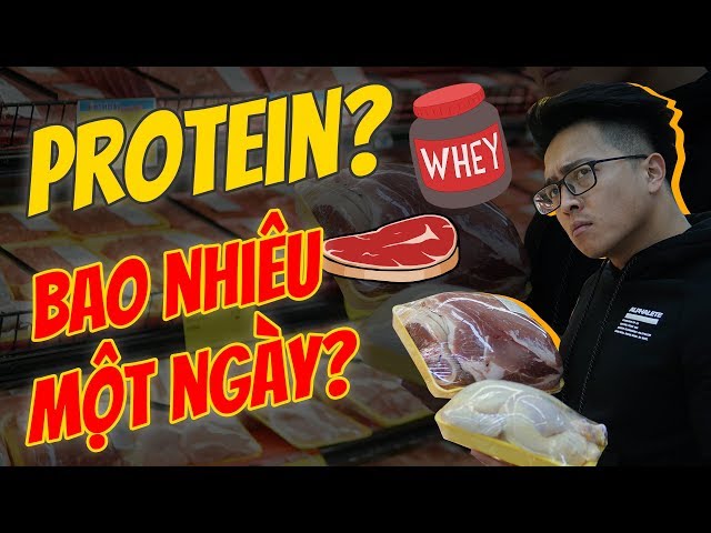 EP.8: Một này nạp bao nhiêu Protein là đủ? | FIRST LIVES | An Nguyen Fitness