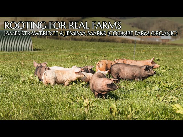 Rooting for Real Farms: James Strawbridge & Jemima Marks (Coombe Farm Organic)