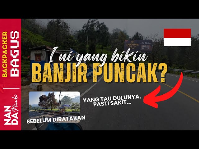 Wisata Bogor I Kenapa Liburan ke Puncak? Penyebab Banjir & Macet Gak Wajar! #puncakbogor