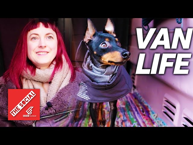 Living In A Van With My Dog | Van Life In Scotland