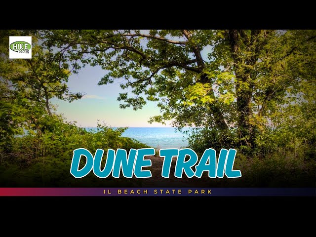 IL Beach State Park - Dune Trail (360 Video, VR)