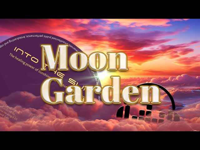 Moon Garden (Wonderful Ambient Instrumental Music) #wellness #lounge #synthesizer #ambient