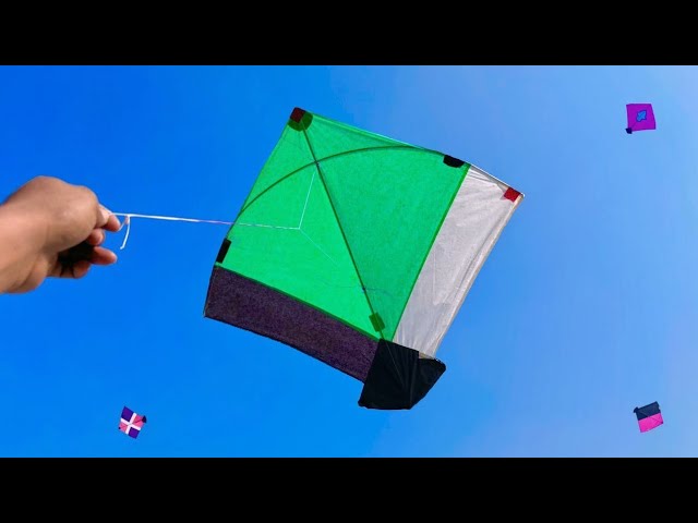 Kite Looting | Kite Catching | Kite |